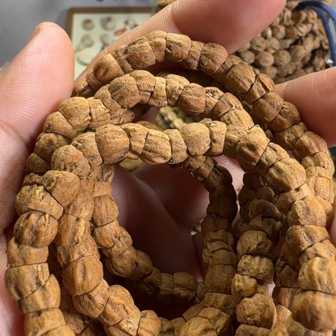 菩提籽类红皮腊肠108福利价