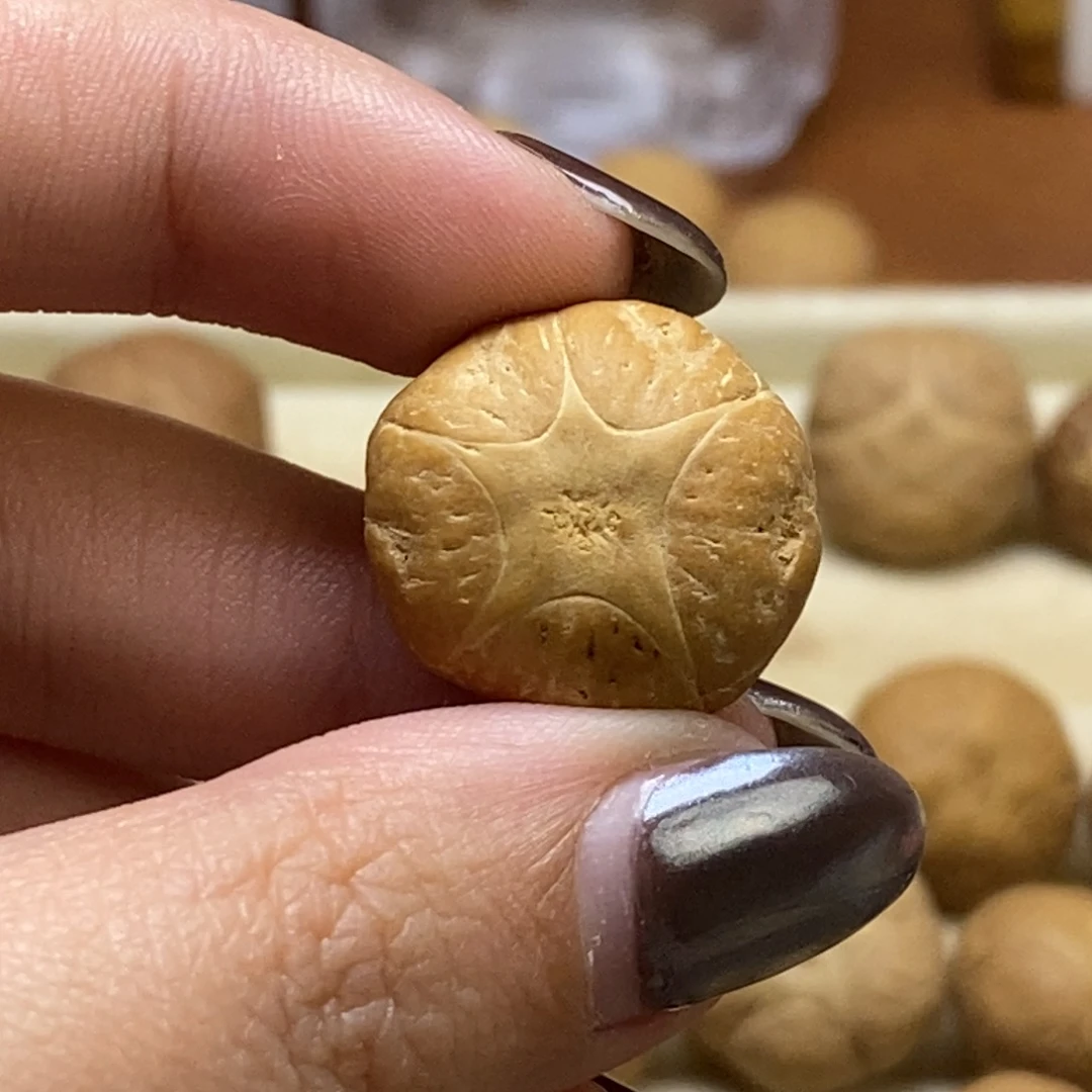 吊坠凤眼菩提五星二茬籽