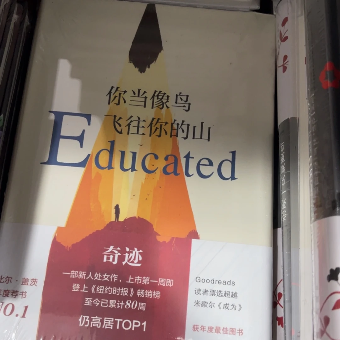 你当像鸟飞往你的山