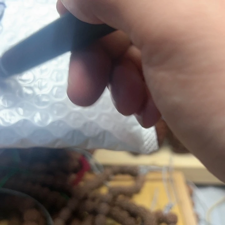金刚菩提吊坠见*哥跳跳龙