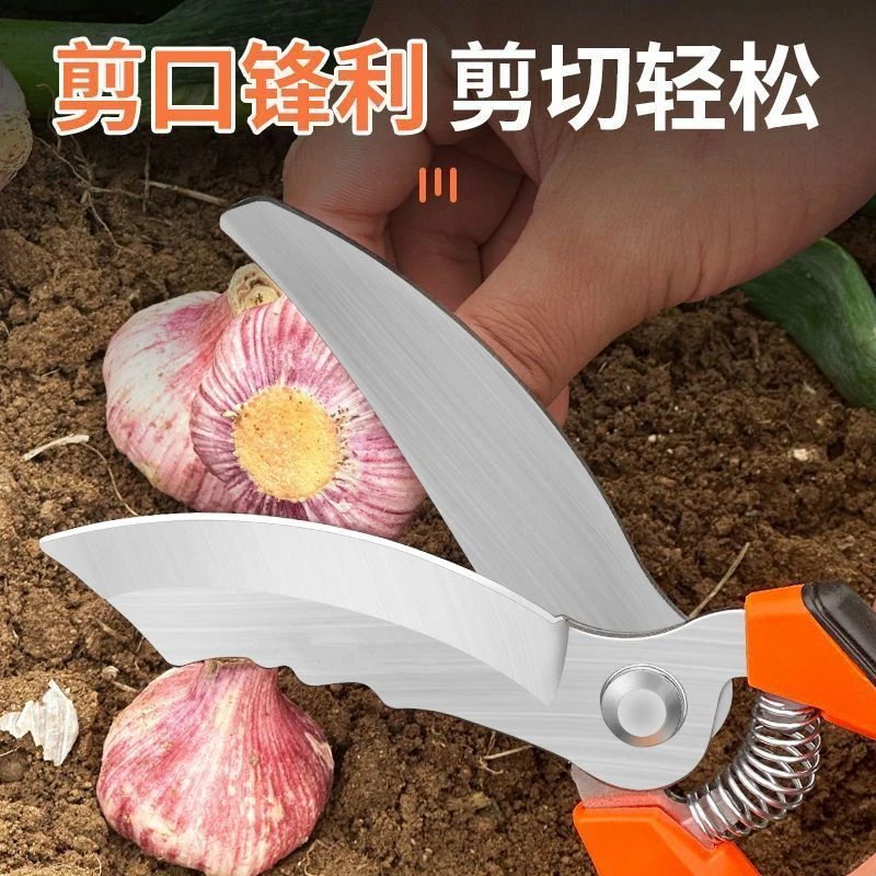 德国品质大蒜专用剪刀蒜剪子蒜胡剪子蒜须杆修蒜神器洋葱头园艺剪