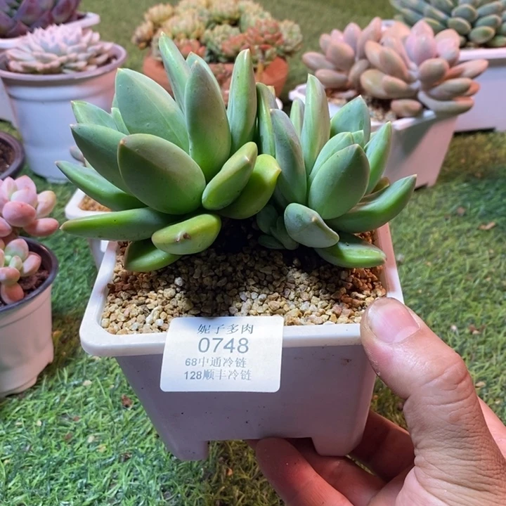0748啊啊啊啊啊啊啊啊啊