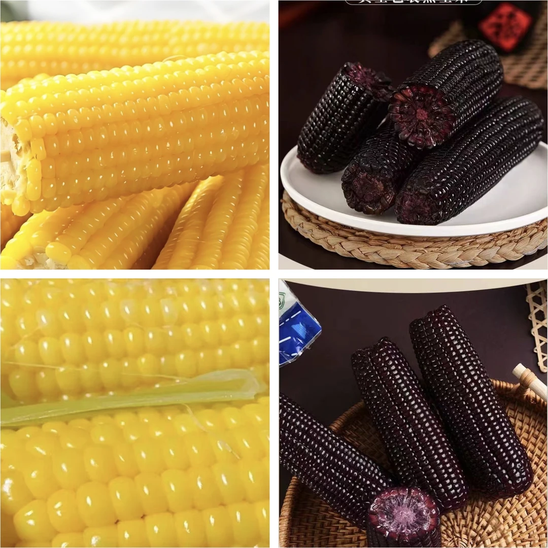 山西2025黑黄糯玉米，新鲜玉米甜糯，220克X8根真空包装