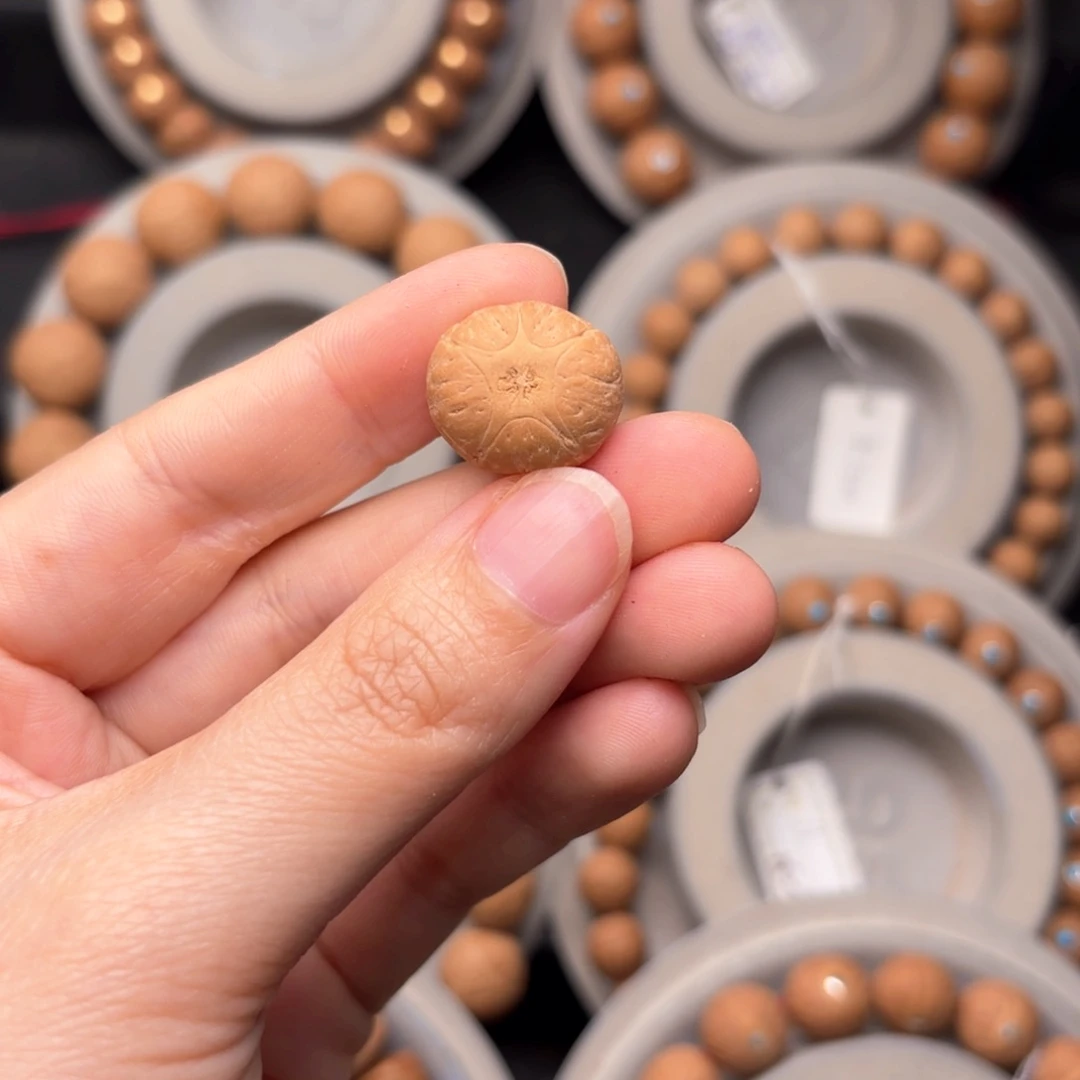 凤眼菩提吊坠五星单颗