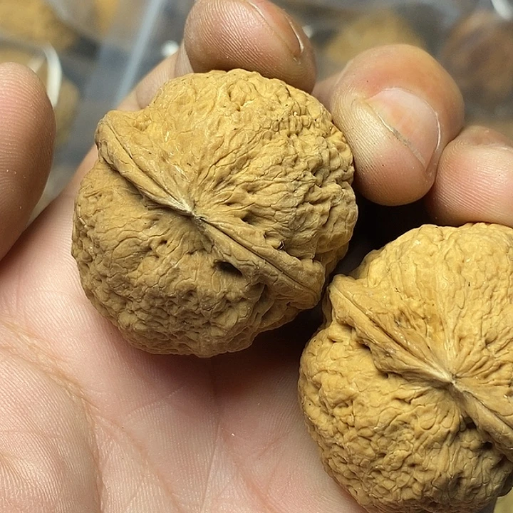 把件文玩核桃云南铁核桃99号41mm