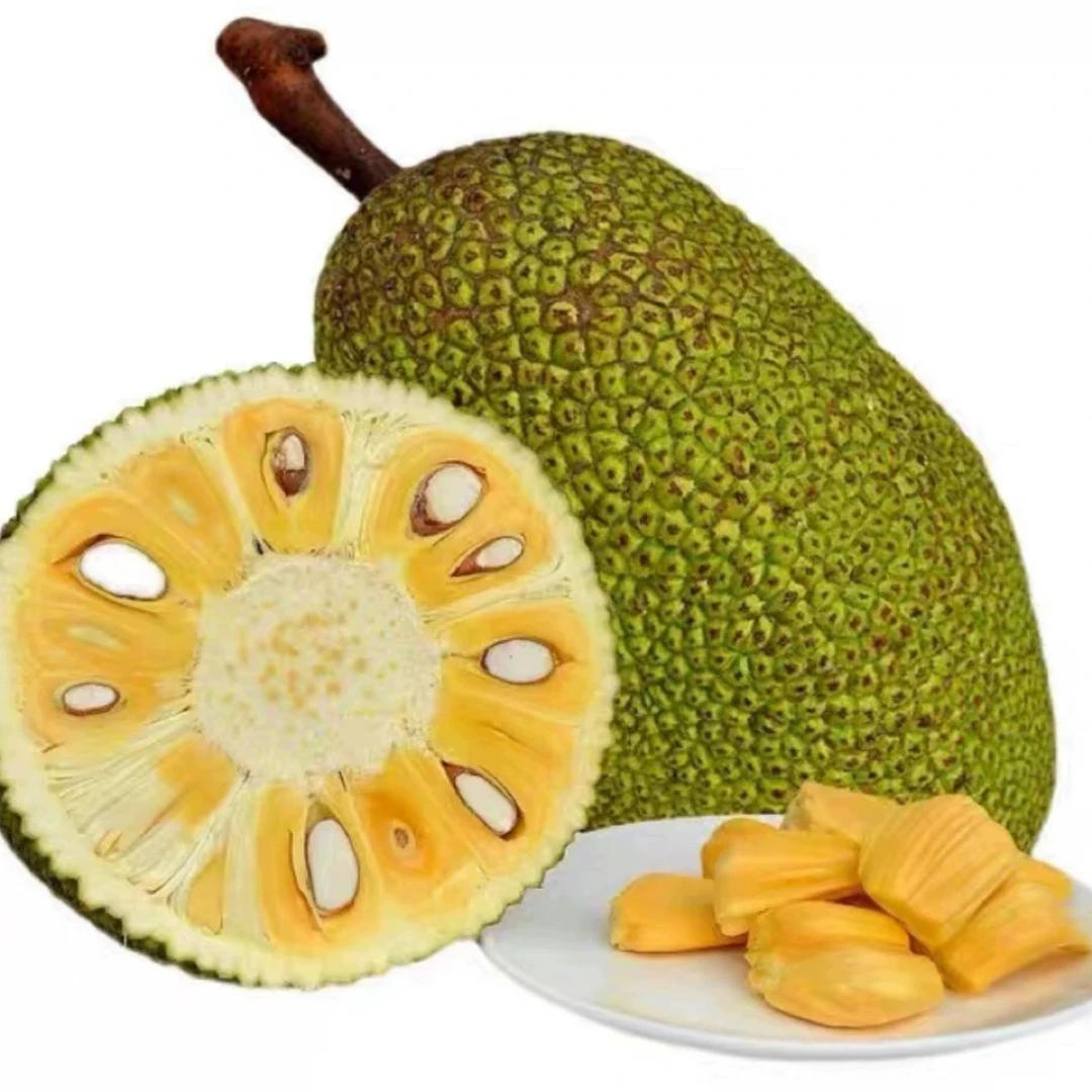 (甄选)越南红肉菠萝蜜 6-16斤脆甜黄肉京东包邮热带水果越南