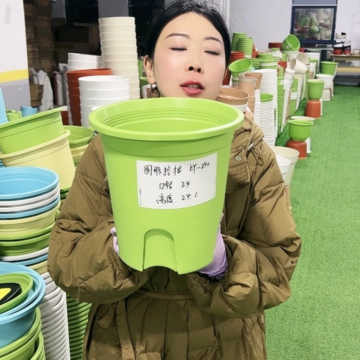 正品圆控口24高24果绿8只无托