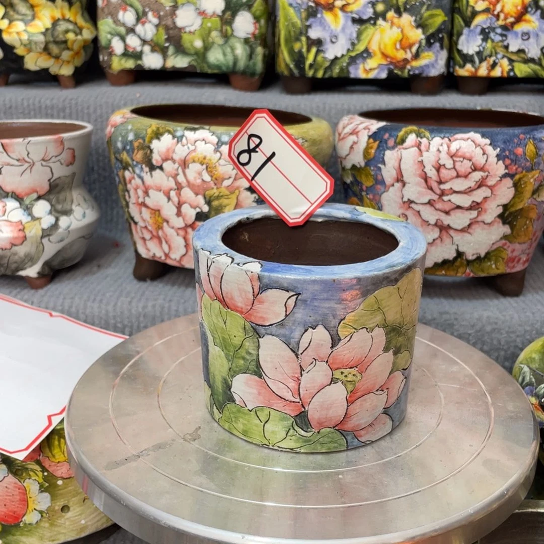 红陶新年福利888888888