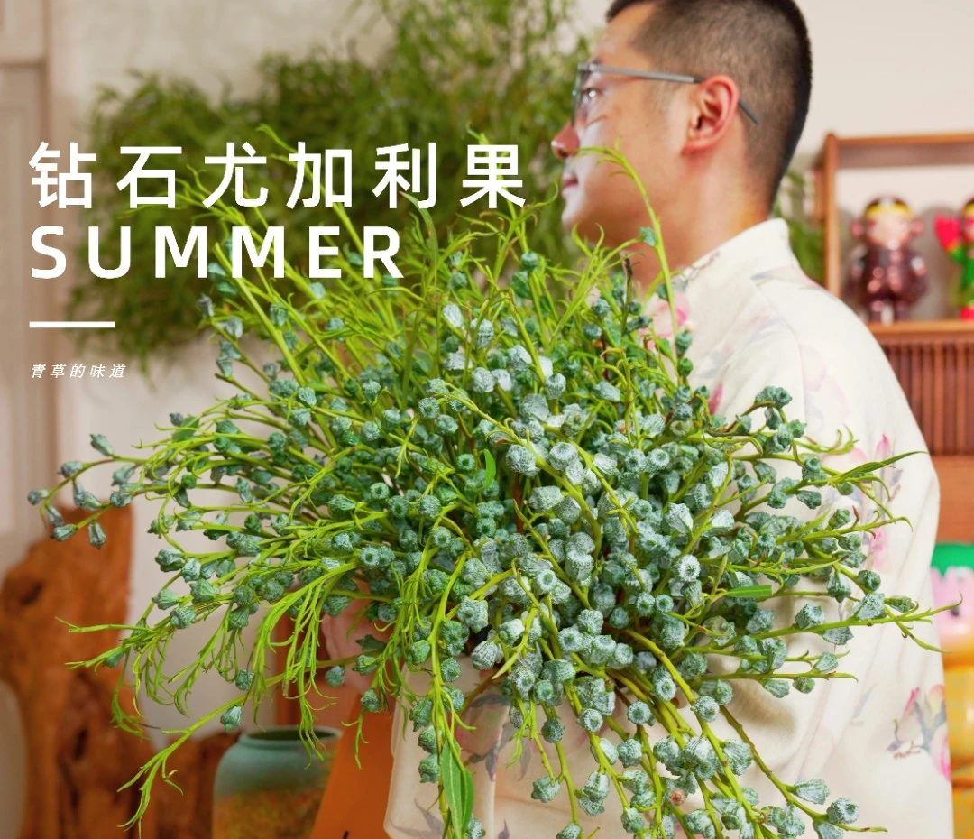 618大促必囤【钻石尤加利新果】夏天花束鲜花可干花客厅尤加利果