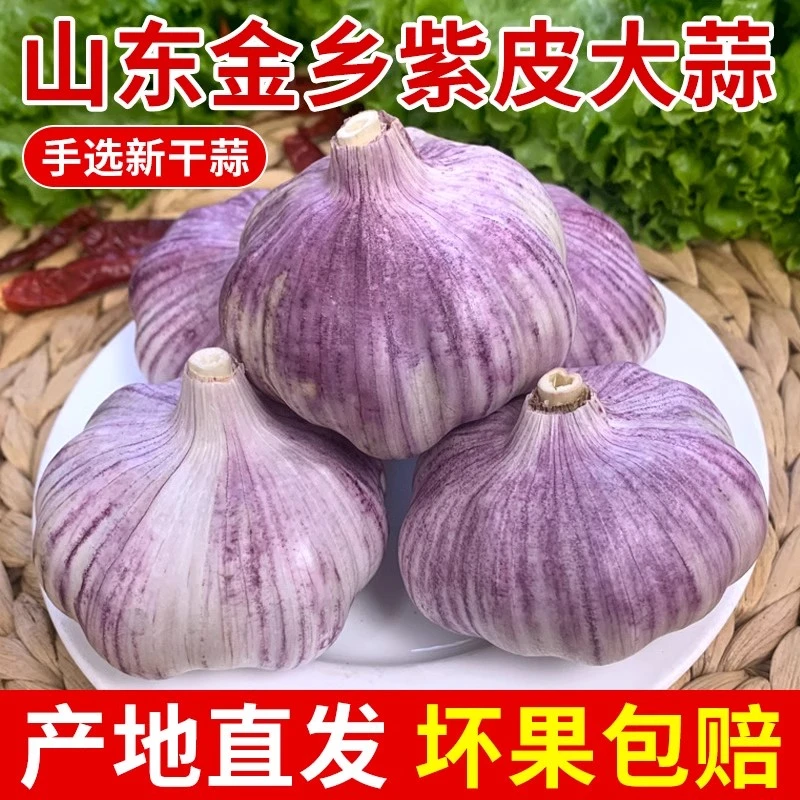 山东大蒜头干蒜3斤紫皮特级种籽批发新鲜蒜瓣 蒜种子大蒜头