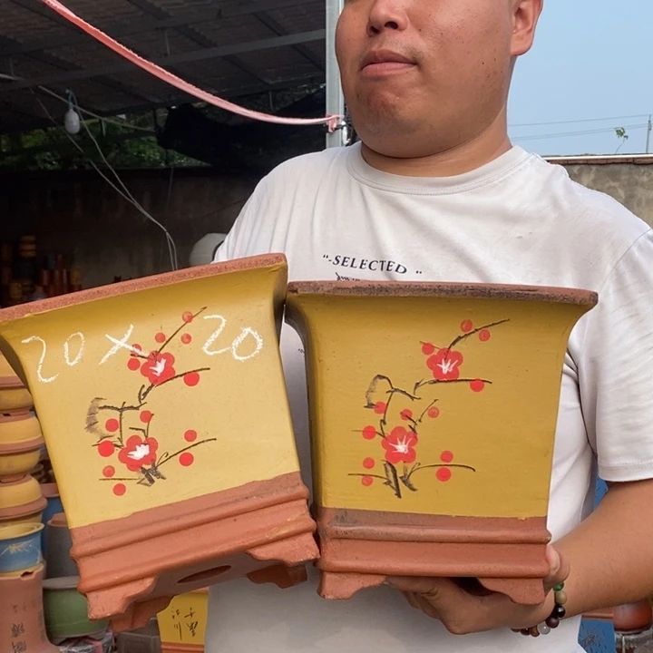 紫砂花盆盆栽花卉苗木种植