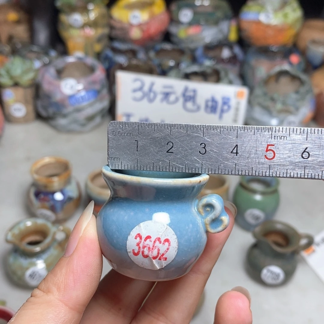 拍5送一个小礼物