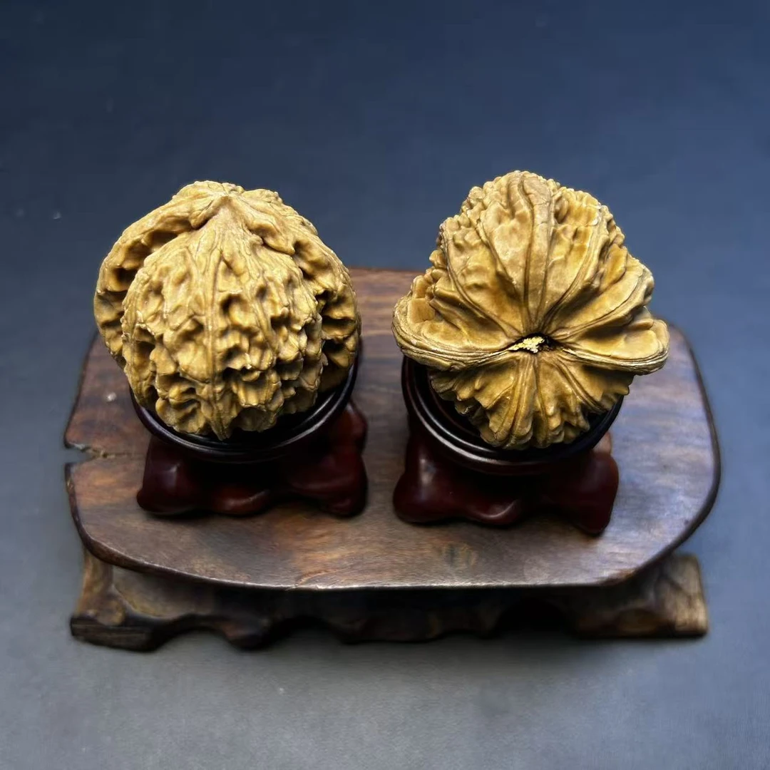 白茬白狮子核桃--221