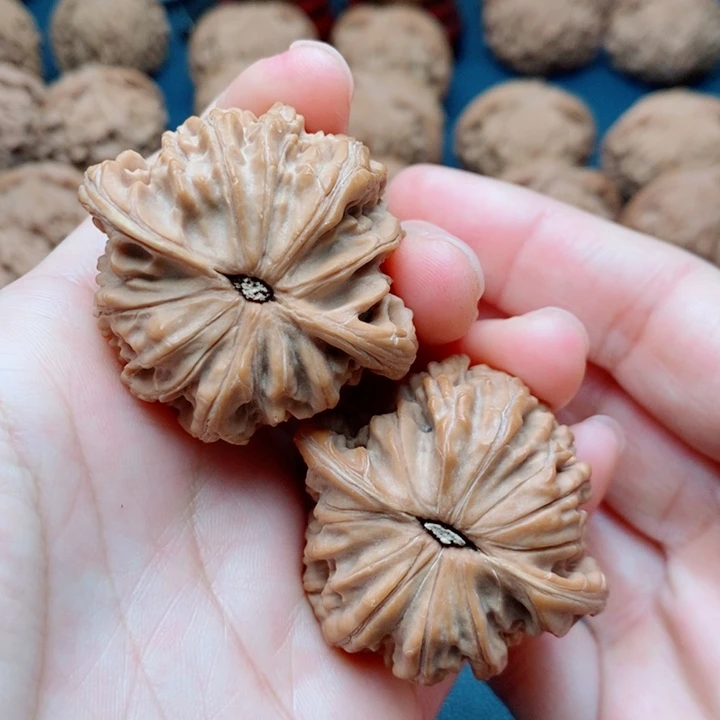 文玩核桃把件用****442磨盘