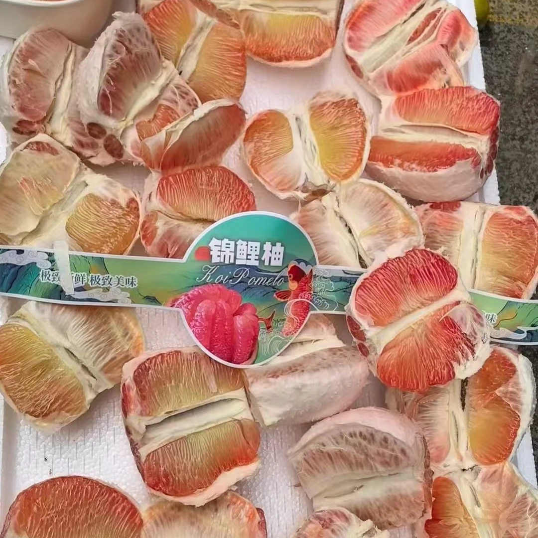 泰国锦鲤柚京东快递