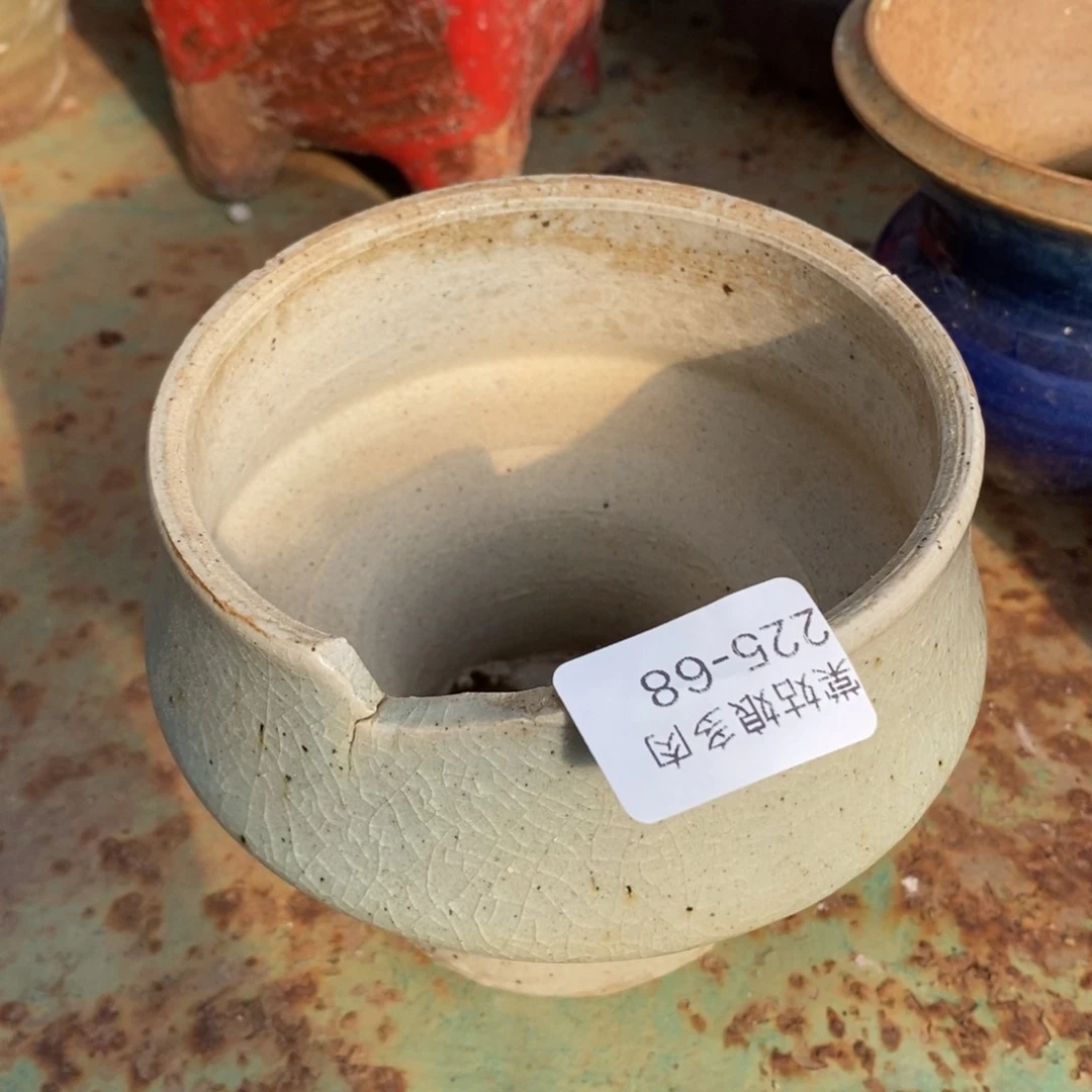 红陶王**～68号链接一个