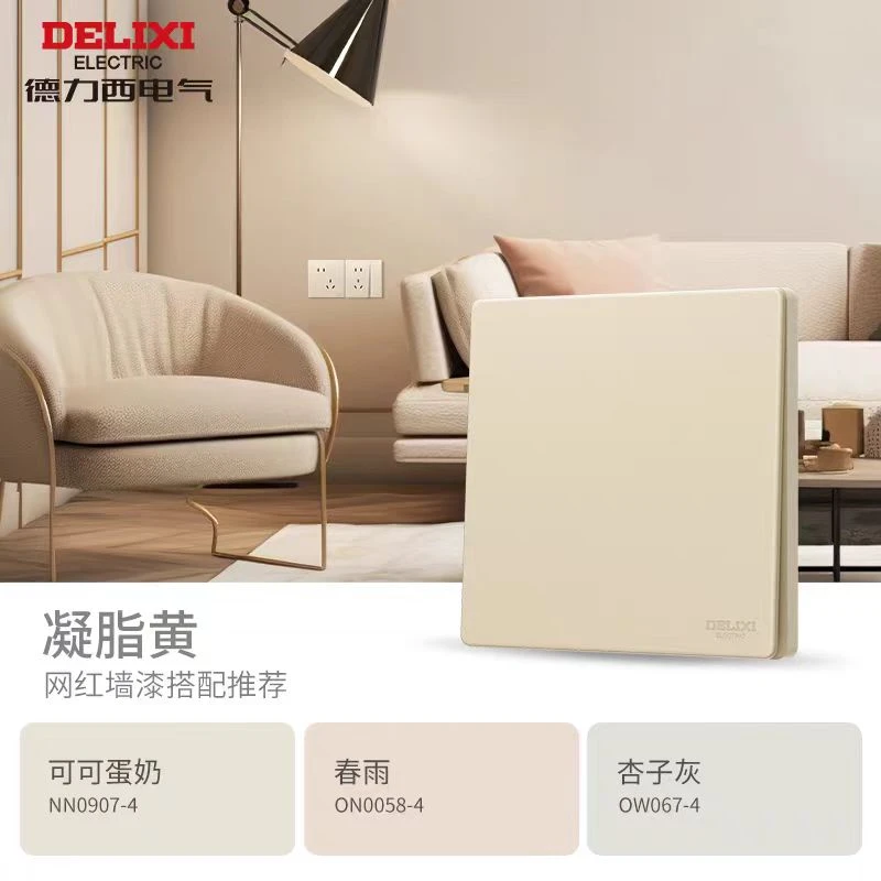 德力西电气225开关经典家用电气免喷涂面板