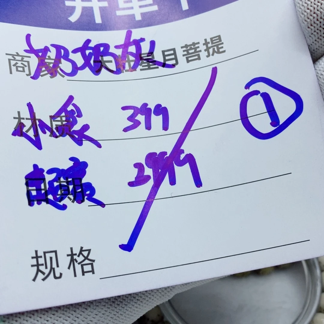 星月菩提吊坠星月菩提