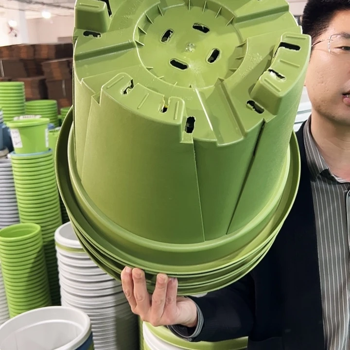 正品青山口40高34果绿无托5个