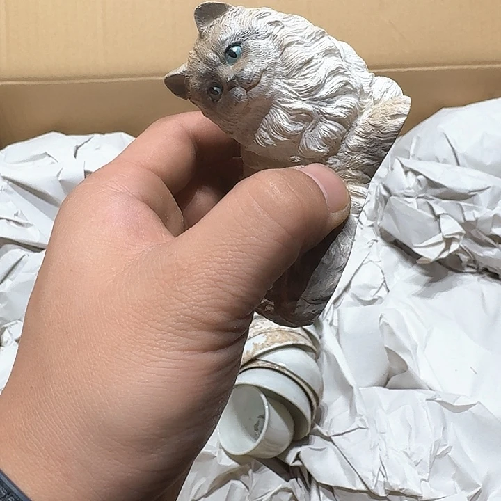 中古物品，谨慎参拍?**?