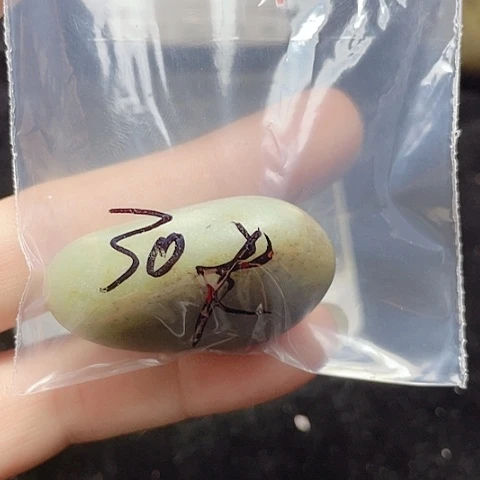 颈饰未镶嵌和田玉（糖玉）