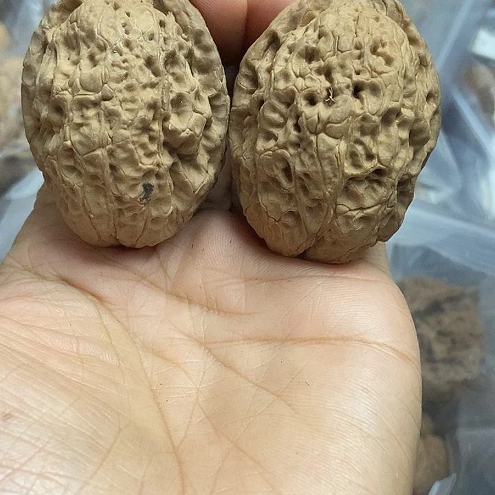 文玩核桃把件云南铁核桃基地54