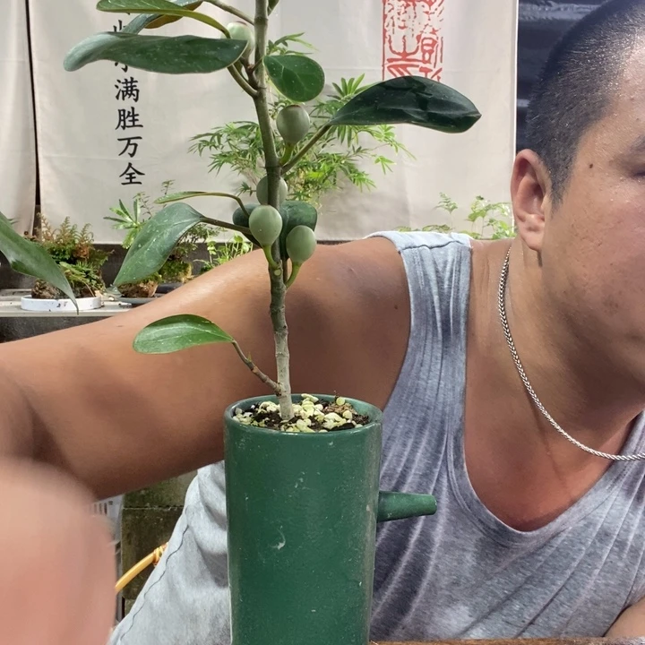 无花朵退款拉黑拉黑47