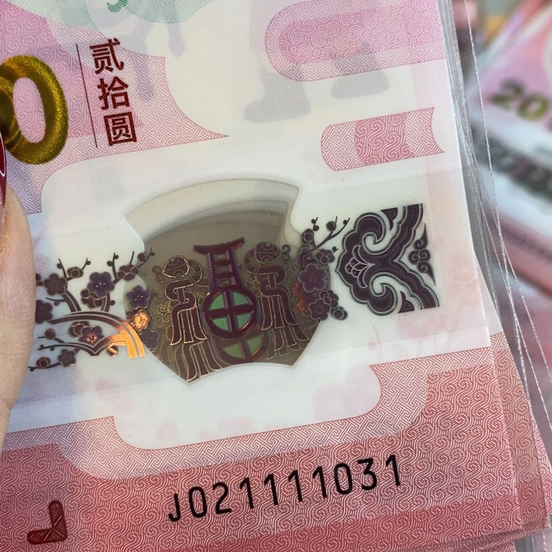 塑料2031----------