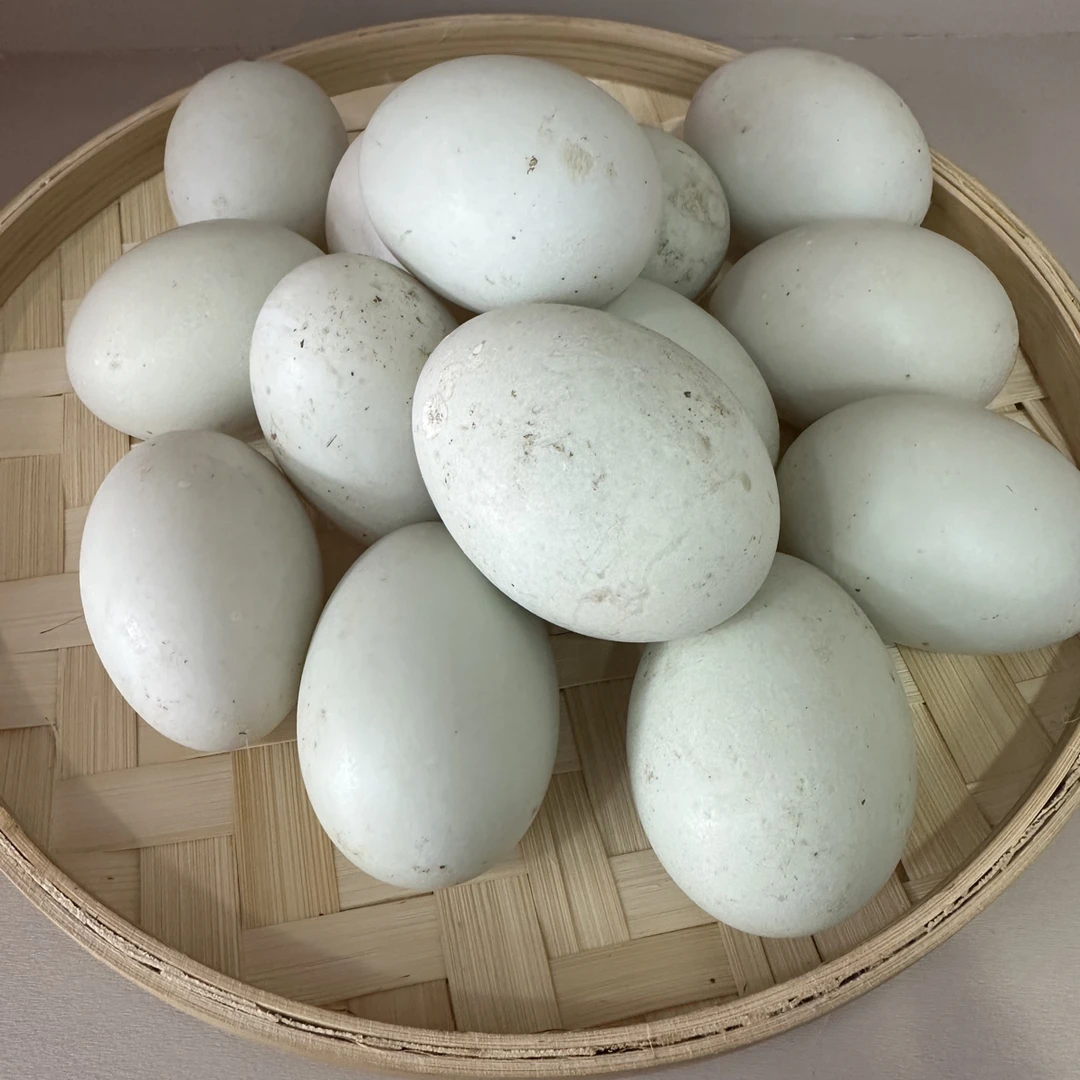 【村干助农代购】江西萍乡农村散养新鲜土鸭蛋