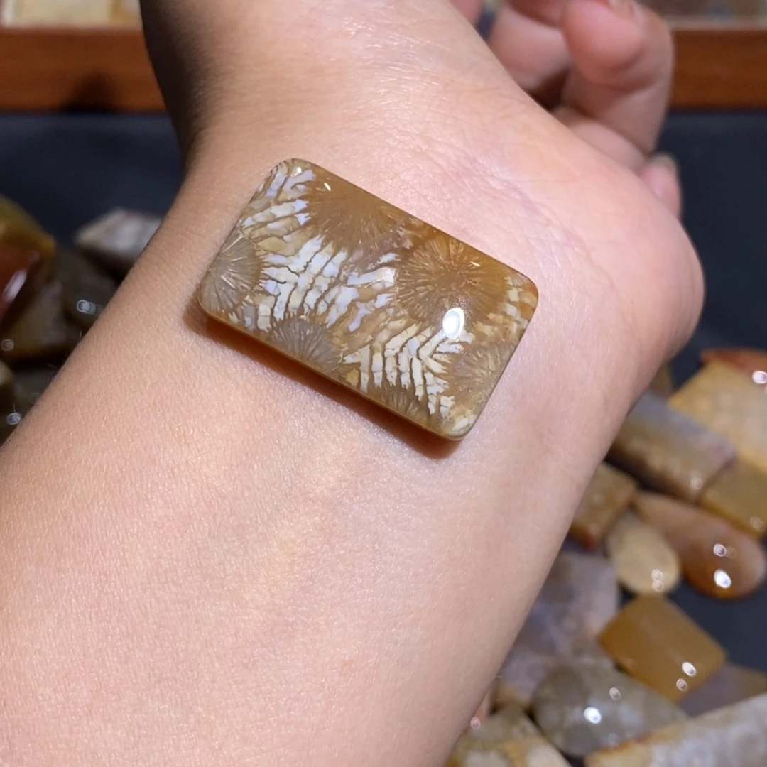 【闪购商品】未镶嵌珊瑚玉硅化玉