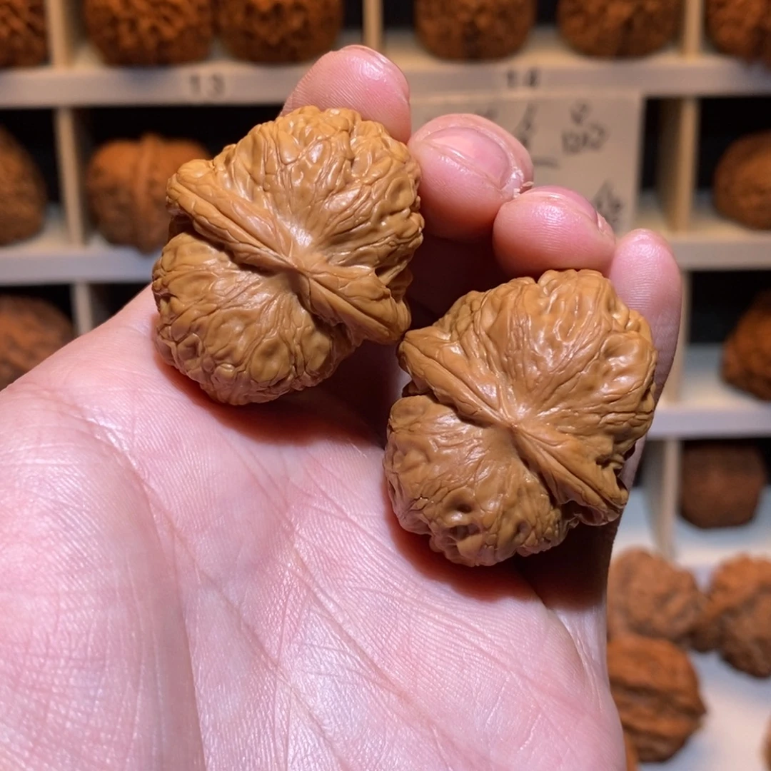 38尺 全品无修打好底 元宝