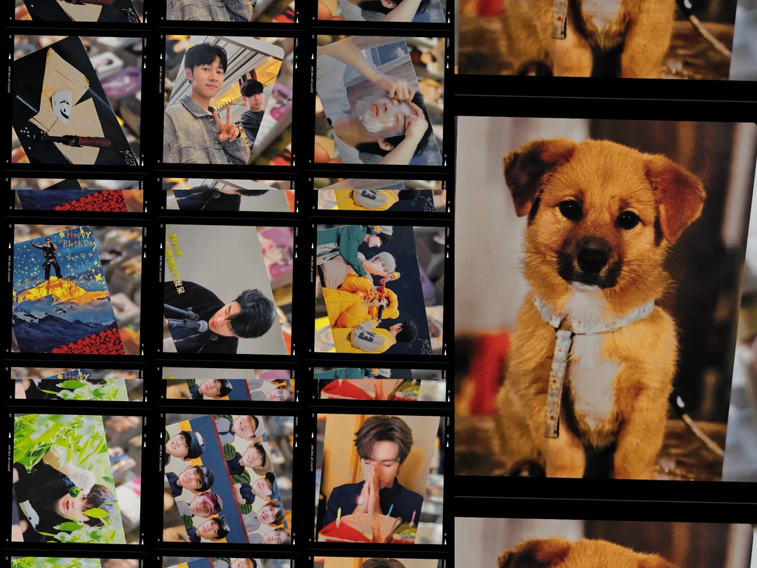 [赠品勿拍]隐藏款故事小卡 独立卡背