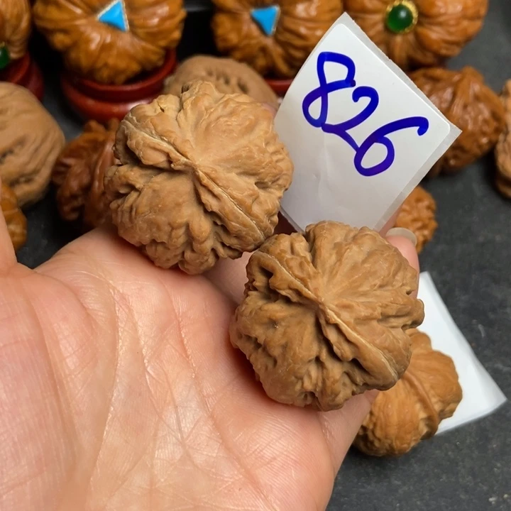 文玩核桃把件36霸王龙826