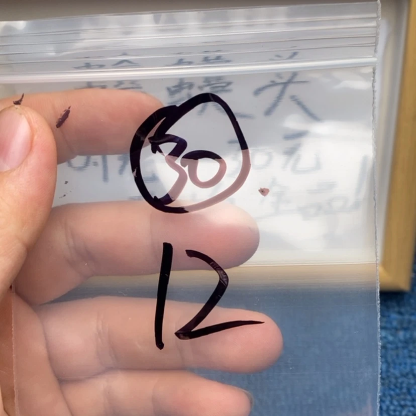 【闪购商品】哈哈哈哈哈哈哈哈