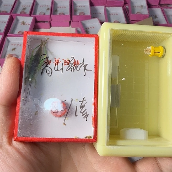 蟋蟀哈哈哈哈哈哈哈哈哈哈