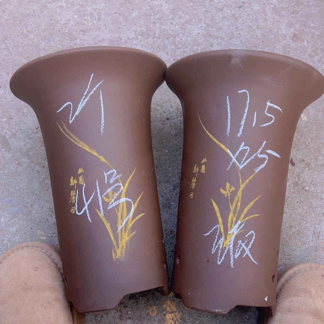 紫砂41………………………………