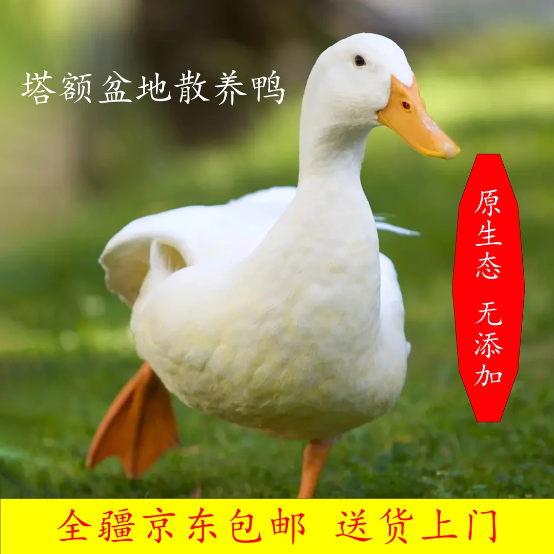 年货节—新疆农村散养鸭子两只—共6公斤左右—京东发货