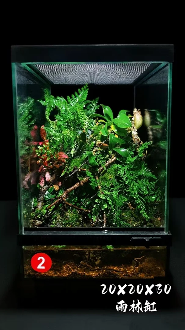 玻璃缸雨林缸带盖单开门爬宠饲养箱适用于角蛙蜘蛛等