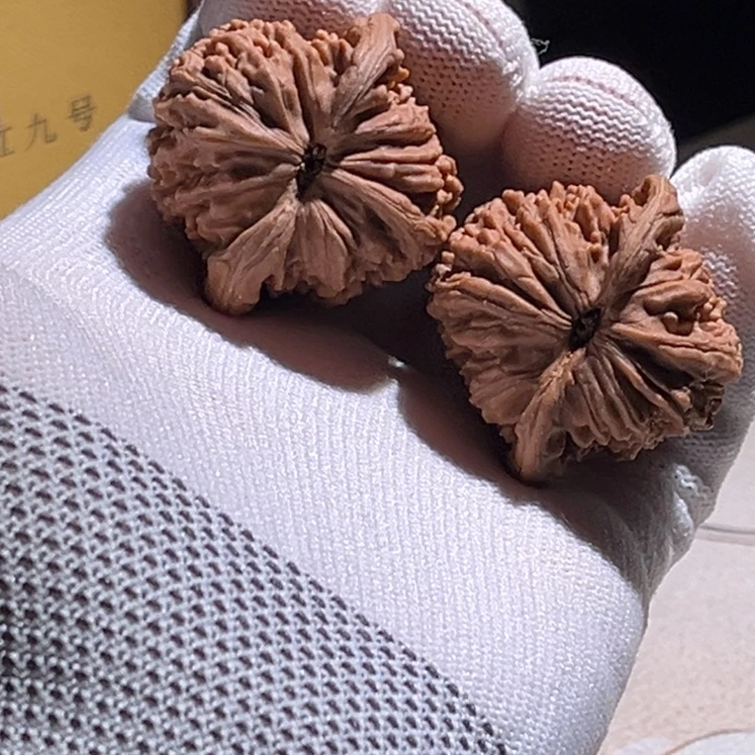 乐***米楼子楼子楼子楼子