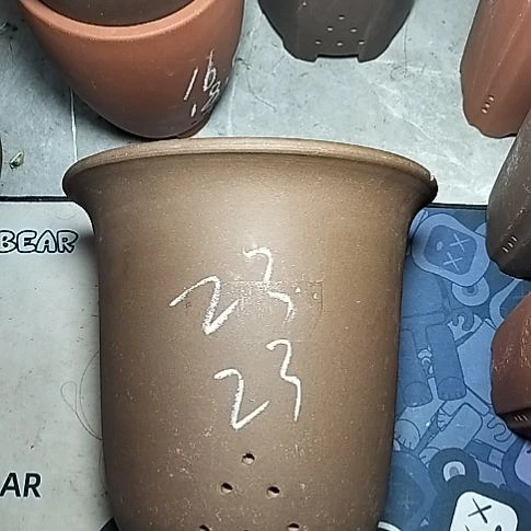 特大金钟一个花盆