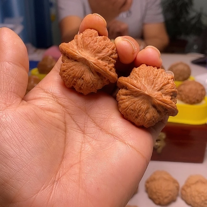 核桃40尺寸的血麒麟爱上色