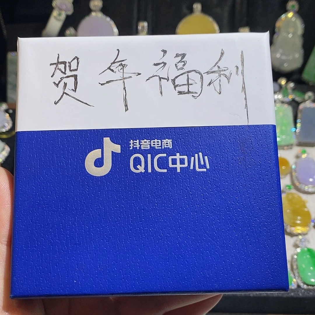 翡翠颈饰银S925镶嵌天然翡翠