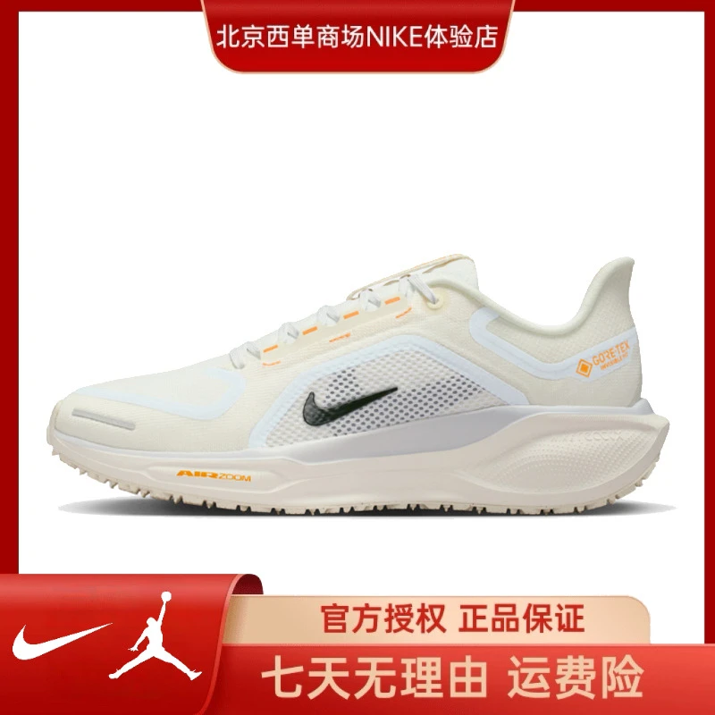 Nike耐克【西】女鞋 PEGASUS 41 GTX 防水公路跑步鞋 FQ1357-102