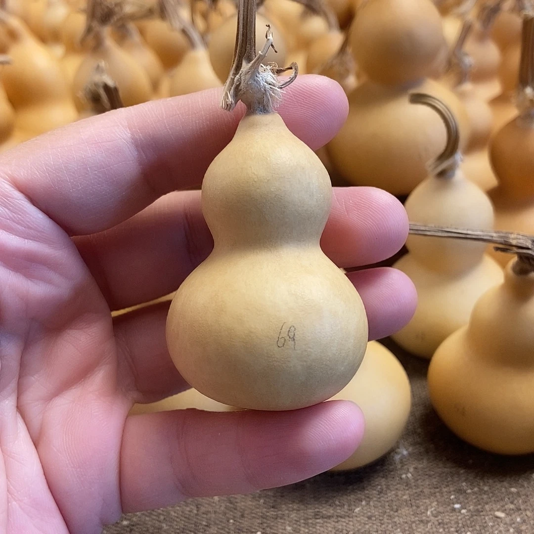 文玩葫芦 完美主义者 慎拍69
