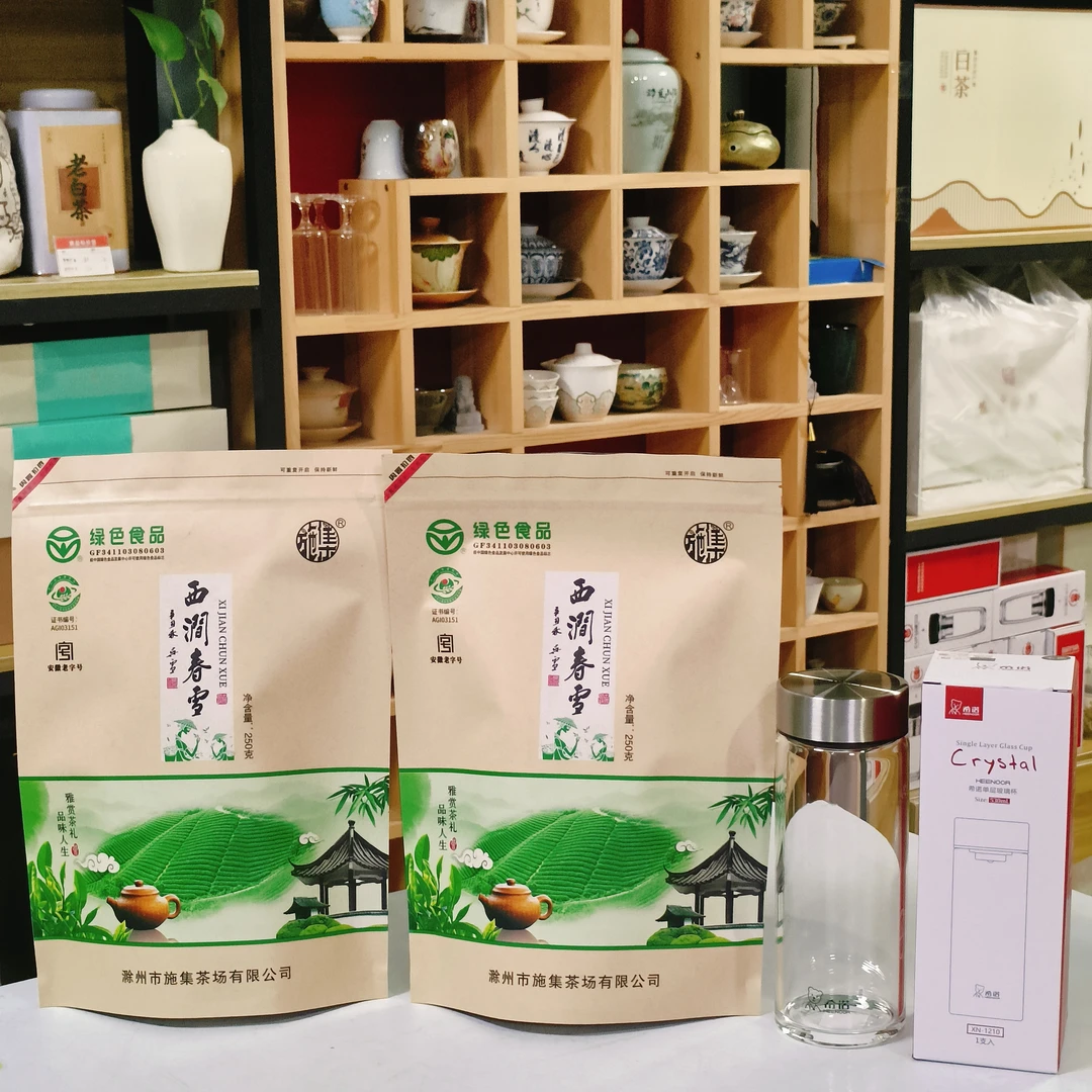 2025西涧春雪新茶1斤绿茶口粮板栗浓香春茶施集春雪送希诺杯一个