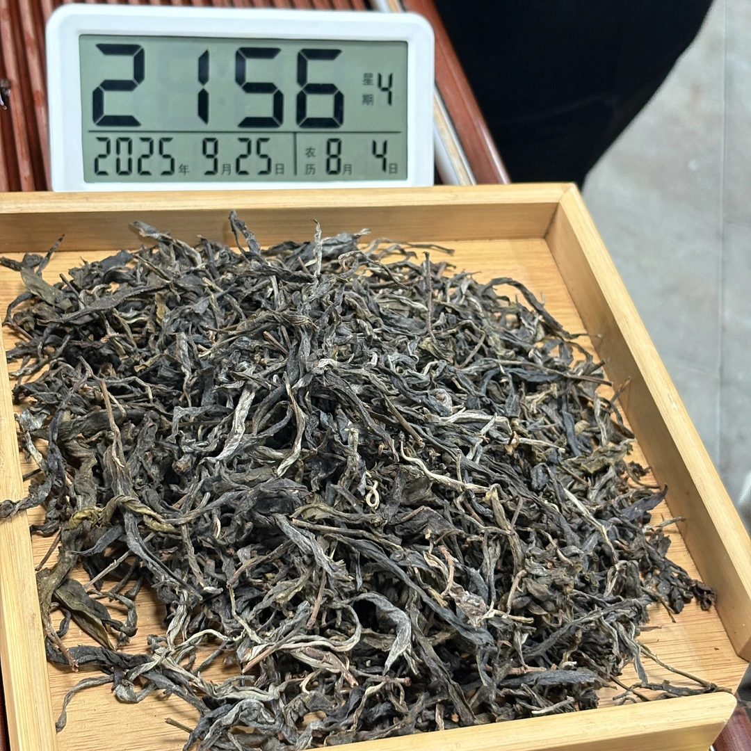 2024年梁子村小荒田大树 春 散茶 200克【1022】9-25