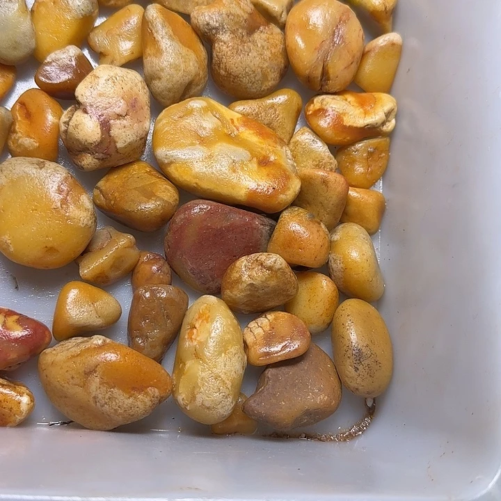 寿山石寿山石的种类