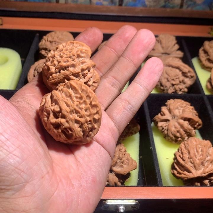 紫***月手串/手链核桃41毕业苹果