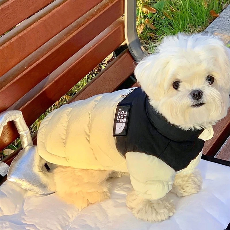 宠物棉衣可牵引狗狗衣服加厚保暖泰迪小型犬猫咪比熊约克夏秋冬装