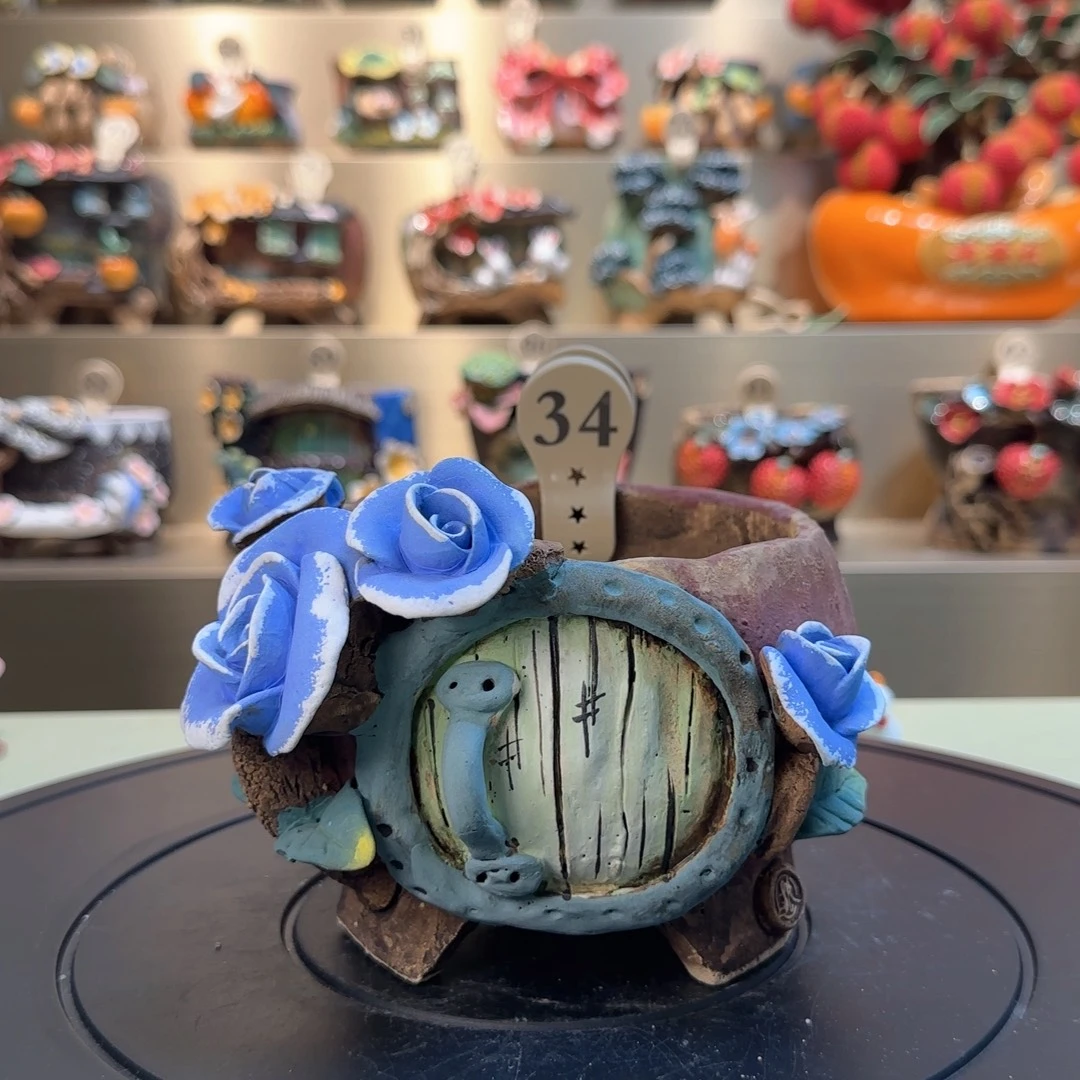 34 【闪购】多肉花盆